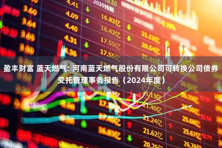 盈丰财富 蓝天燃气: 河南蓝天燃气股份有限公司可转换公司债券受托管理事务报告（2024年度）