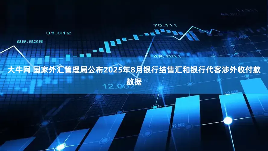 大牛网 国家外汇管理局公布2025年8月银行结售汇和银行代客涉外收付款数据