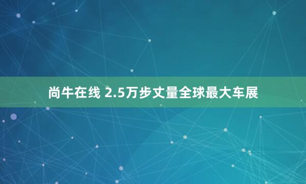尚牛在线 2.5万步丈量全球最大车展